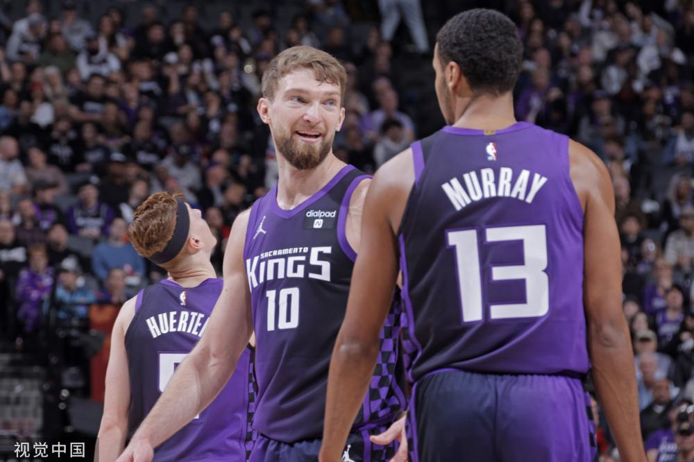 黄蜂落败 黄蜂落败